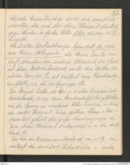 Seite 25, Tagebuch "Paläolithstation | Lang-Mannersdorf | Parzelle 1329" (NHMW-PRAE-BBB-18)